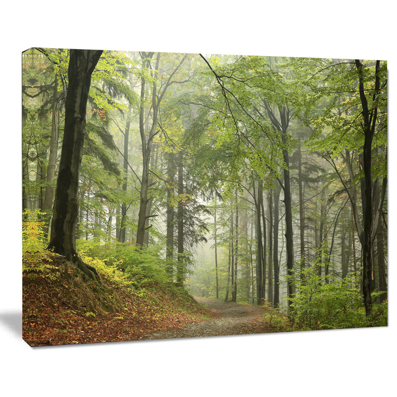 « green beach forest chemin », reproduction de photo sur toile tendue, H 8 po x l 12 po x P 1 po