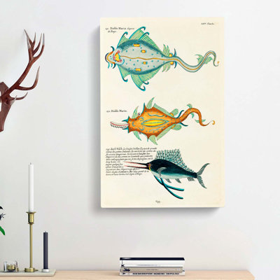 East Indies Fish Illustrations LIV by Louis Renard - Wrapped Canvas