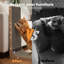 Scratching Post