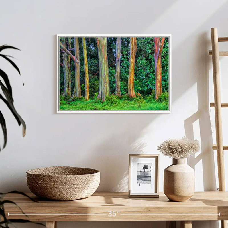 Eucalyptus arc-en-ciel, Cadre flottant blanc, 19 po x 13 po