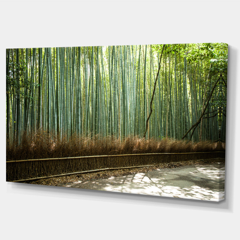 «Beautiful View of Bamboo Forest», reproduction de photo sur toile tendue, H 28 x l 60 po x P 1 po, Toile tendue