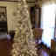Customer photo 2 of 4