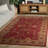 Angelyca Performance Oriental Rug-1008634333