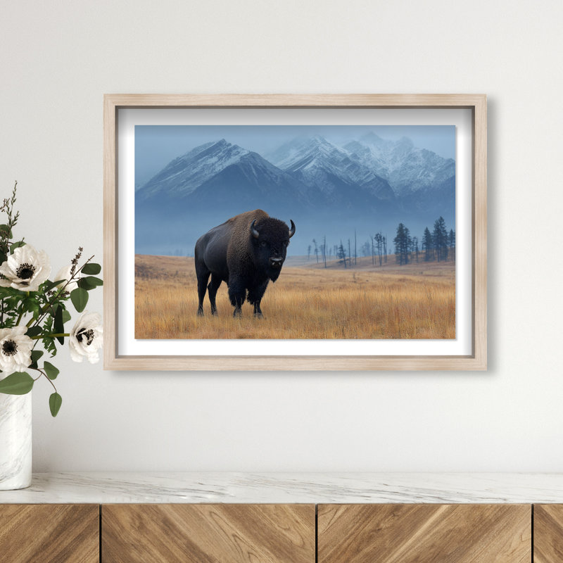 Mountain Bison I Framed Graphic Art, 17.5" H x 25.5" W, Natural Oak Shadowbox