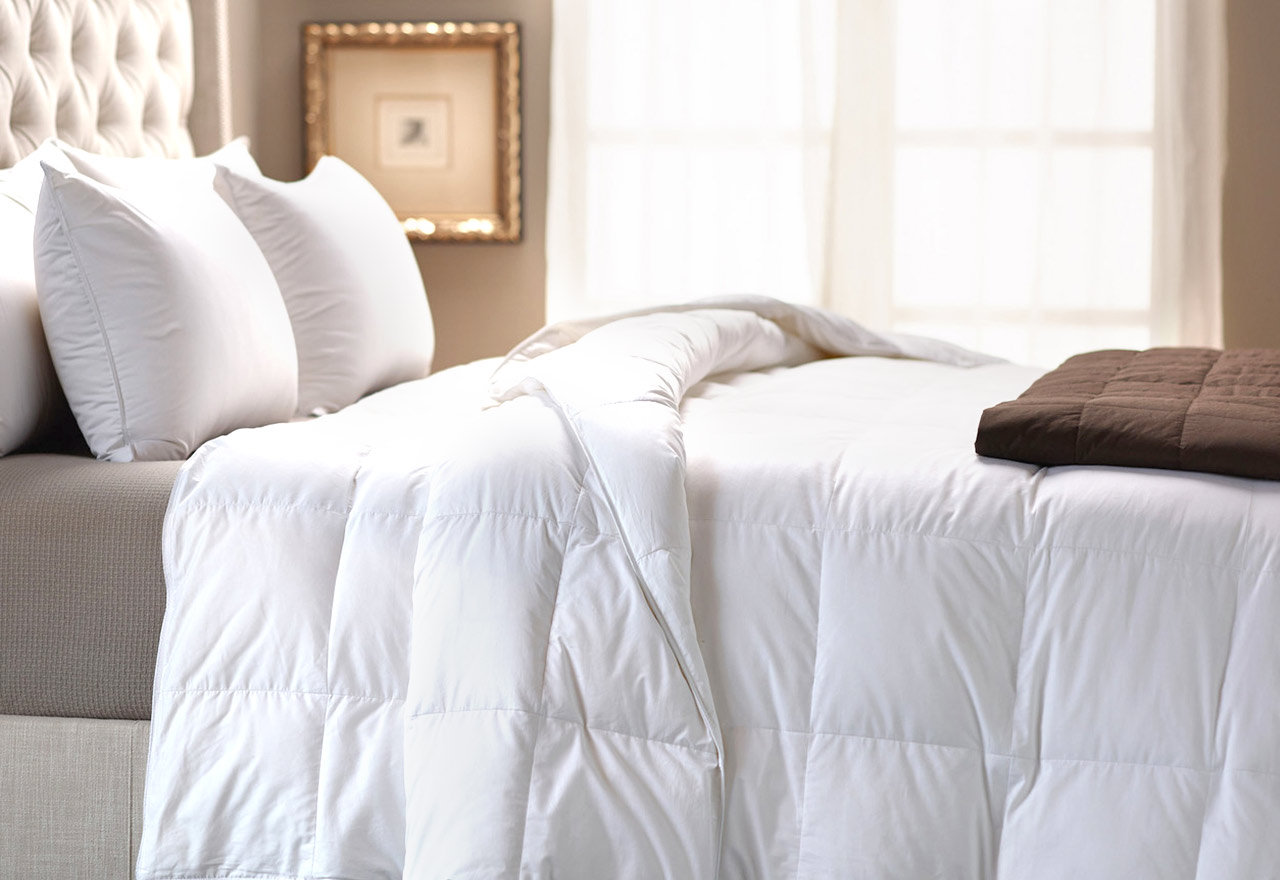TopRated Bedding Basics 2024 Wayfair