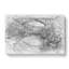 New River Gorge Bridge - Wrapped Canvas-56640371