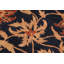 Tapis oriental noir / rouge en laine noué à la main 8 pi x 9 pi 1 po Dorn