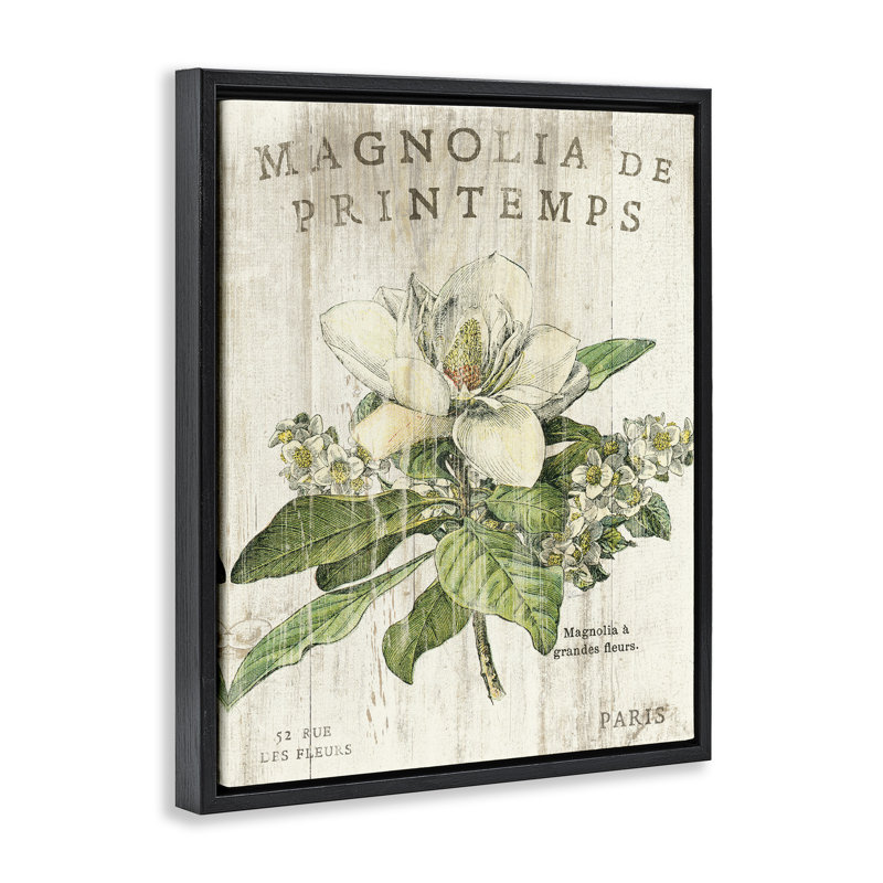 «French Magnolias in Spring», art mural sur toile flottante par Sue, Cadre flottant noir de jais, L 17 po x H 21 po