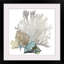 « Coral » par Aimee Wilson - reproduction d'impression sur toile tendue-403207845-403263568-515388065