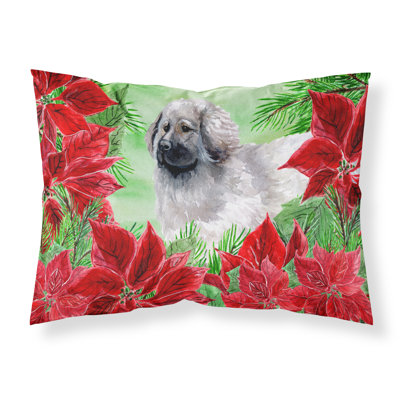 Taie d’oreiller poinsettas