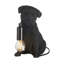 Cason Resin Novelty Lamp-876727556