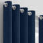 Myron Heavy Crushed Velvet Eyelet Room Darkening Thermal Drape Curtains-1974919699-1891510355