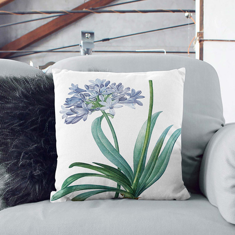 Lily of the Nile by Pierre-Joseph Redoute Cushion with Filling, 55cm H x 55cm W x 20cm D, Black