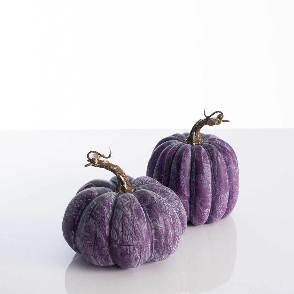 The Holiday Aisle® Purple Weathered Thanksgiving Harvest Halloween Colorful Pumpkin Set | Wayfair