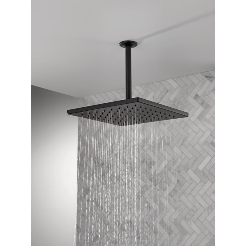 Delta Rain Adjustable Shower Head, Matte Black