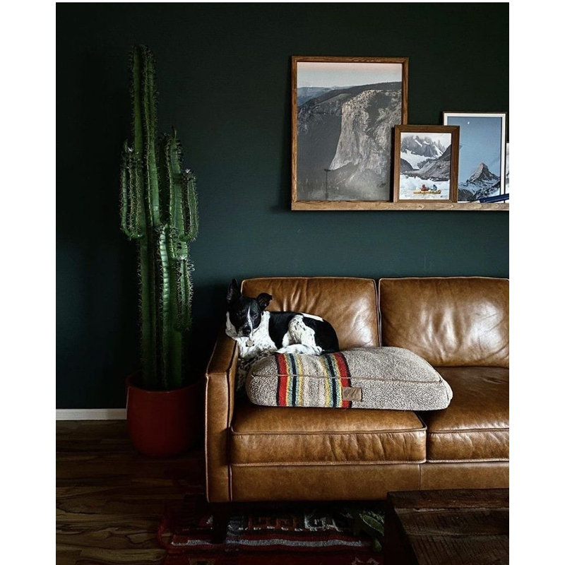 Cactus Artificial Plant
