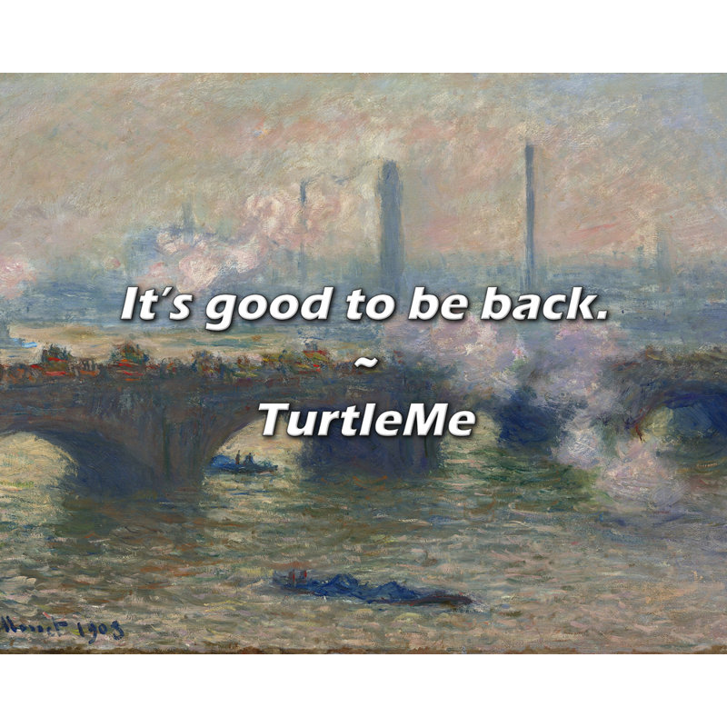 Citation de TurtleMe: C'est bon d'être de retour., H 26 po x l 32 po
