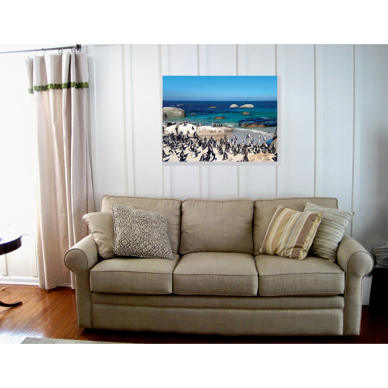 Pingouin paradis - photographie, H 24 po x l 32 po x 1,5 po, Toile tendue, Pas de tapis