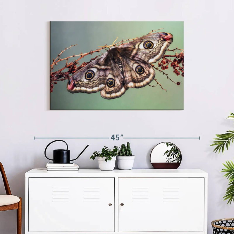 Papillon empereur