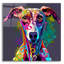 «Greyhound» par Dean Russo-1099398855