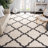 Alonnah Shag Performance Geometric Rug-399672495