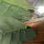 Photos des clients 1 de 1