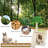 Dodier 33'' H Cat Tree