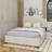 Queen Size Velvet Upholstered Platform Bed With 2 Drawers And 1 Twin XL Trundle-396793571