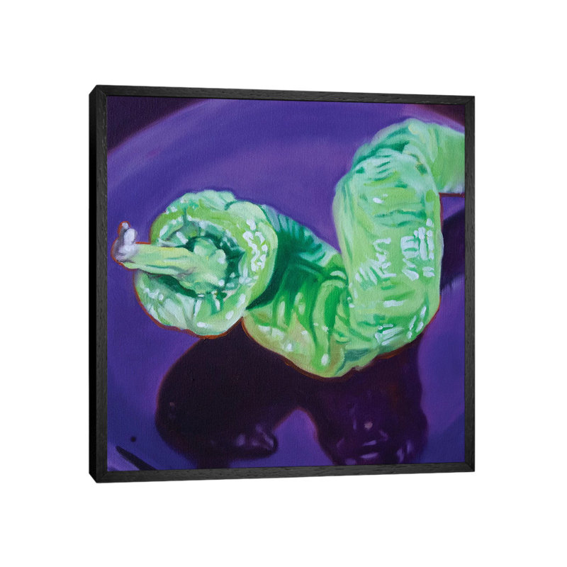 Curly Pepper by Andrea Alvin - Print on Canvas, Black Framed, 45.72 cm H x 45.72 cm W