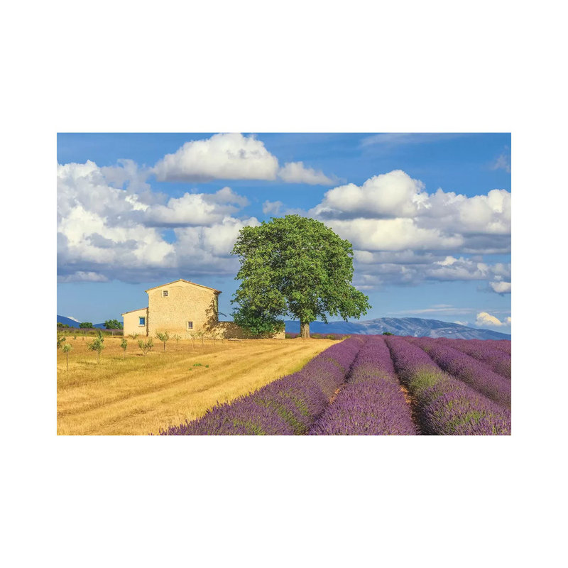 France, Provence, Valensole Plateau. Lavender Rows And Farmhouse. by Jaynes Gallery - Wrapped Canvas Print