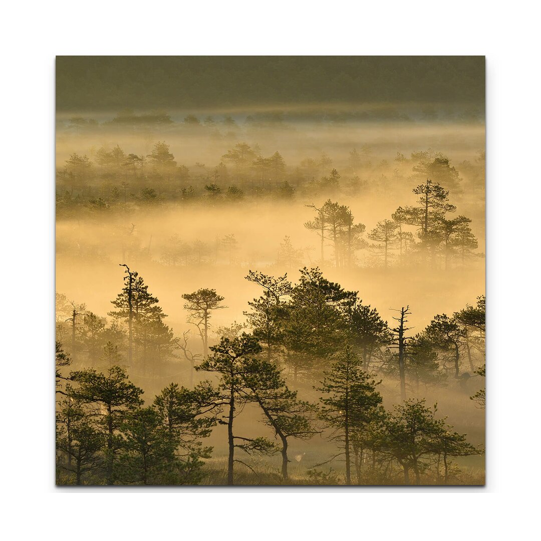 Leinwandbild Goldener Waldmorgen