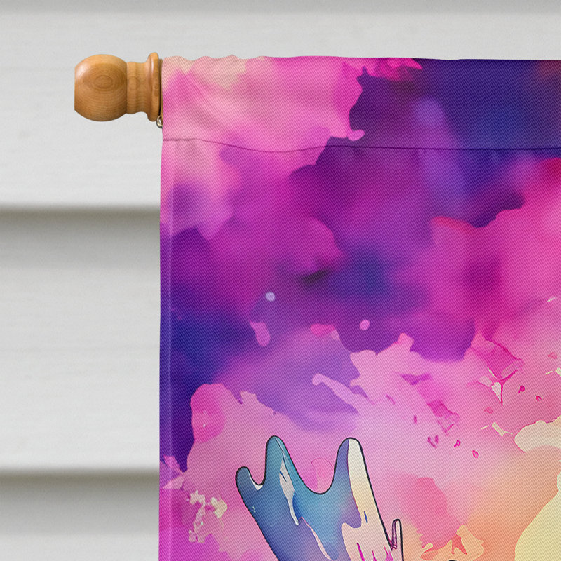 Drapeau d'un hippie
