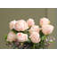 Rose Arrangement in Pot-1334660980