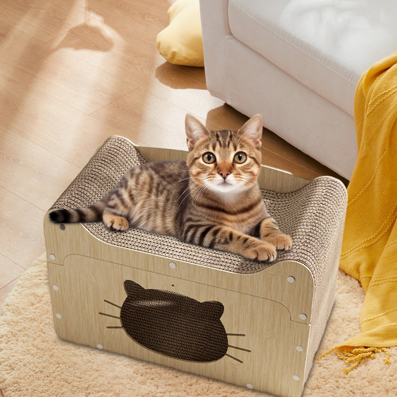 Ekamjit Cat House