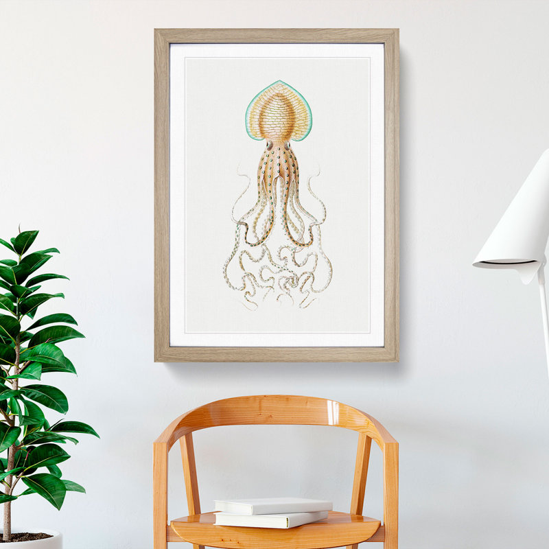 Vintage Squid Vol.1 by Ernst Haeckel - Picture Frame Painting, 65cm H x 48cm W x 2cm D, Oak