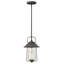 Belden Place 1-Light Outdoor Hanging Lantern