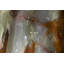Couple de onyx vert poli en statue love