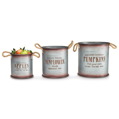Alai Metal Pot Planter