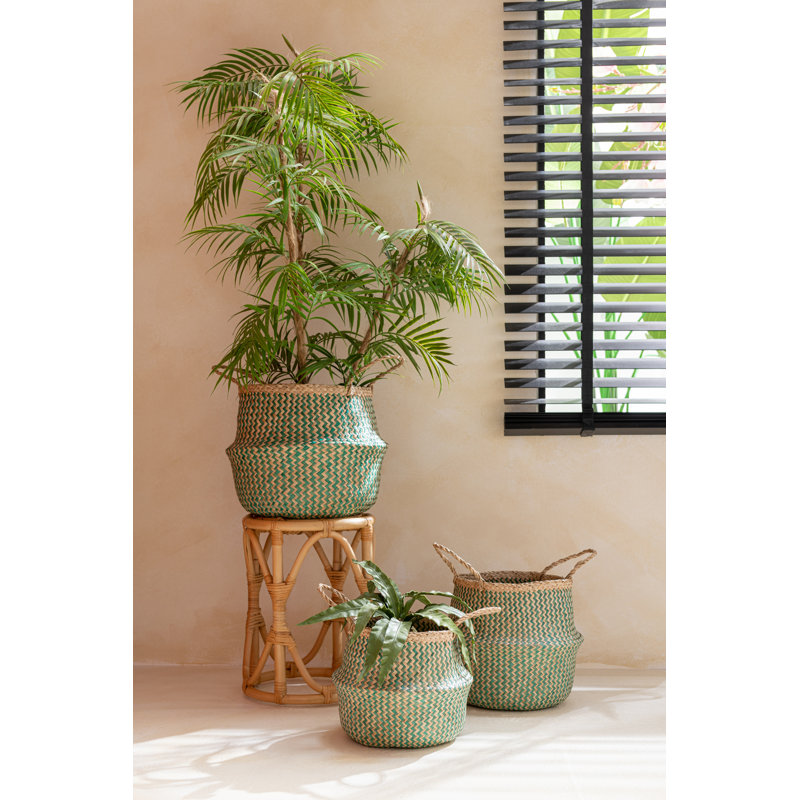 30 cm H Faux Snake Plant