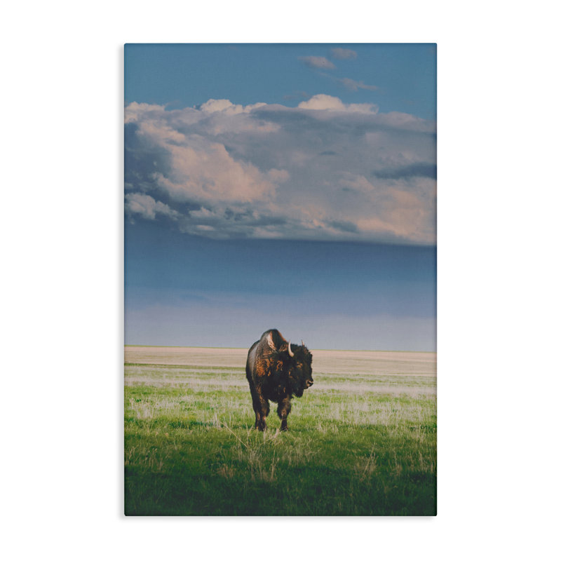 Lumière du soleil sur une toile de bison solitaire, conception par Annie Bailey Art, H 24 po x l 16 po