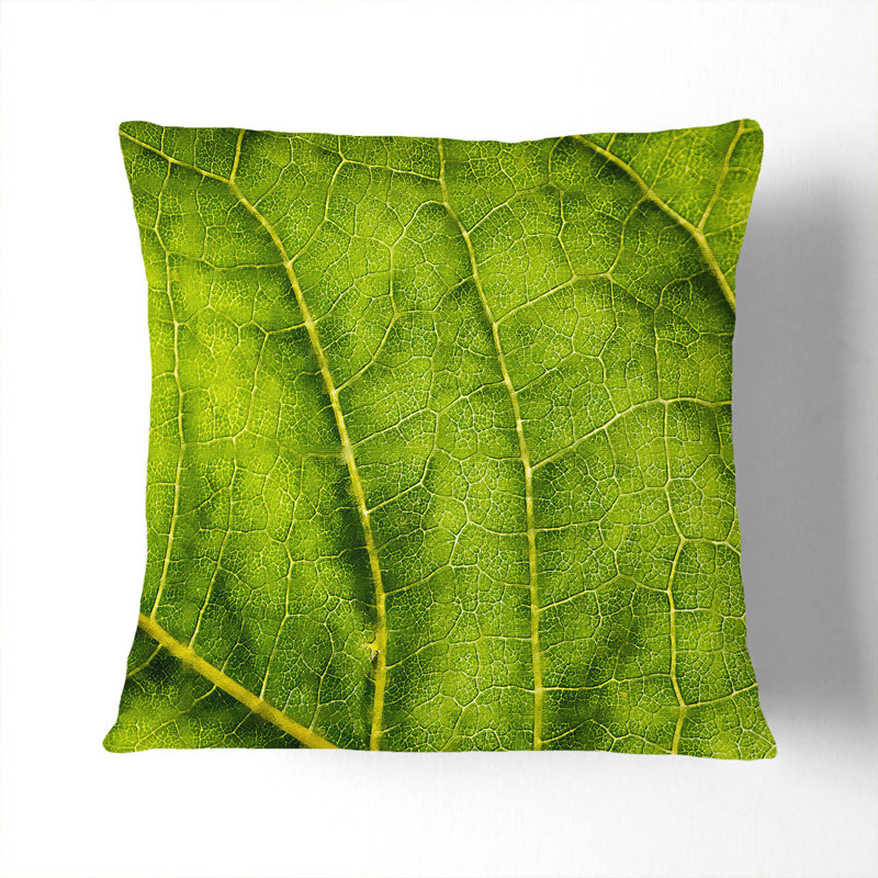Square Throw Cushion, 40cm H x 40cm W x 15cm D