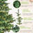 8Ft Pre-Lit Christmas Tree-1695921019