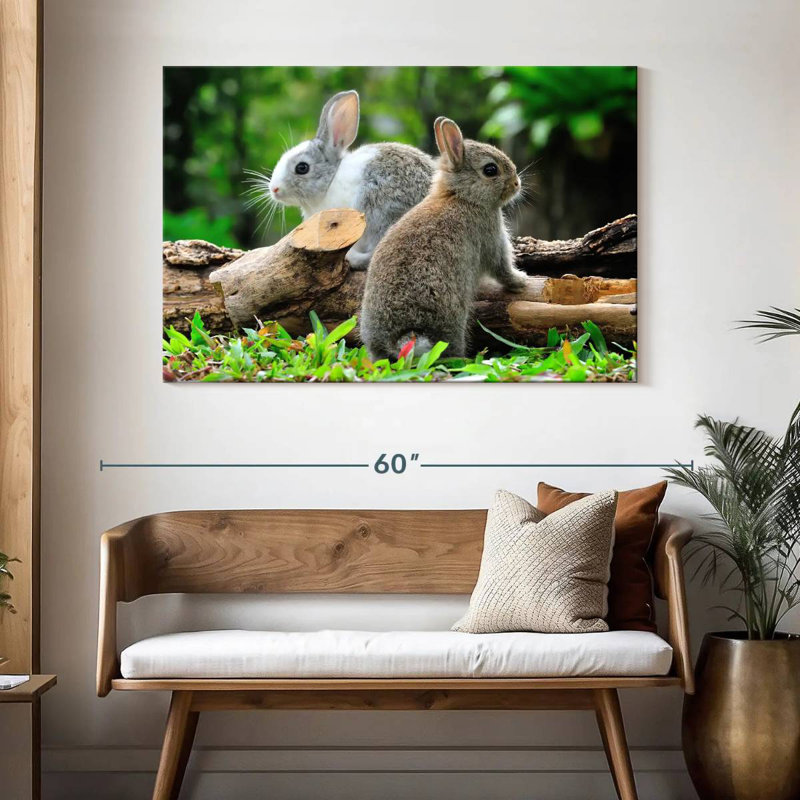 Lapins de jardin Brampt