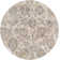 Oriental Indoor Rug