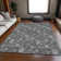 Premium Machine Washable Prisco Gray Rug