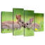 Brampt embrassant des lapins-108892780