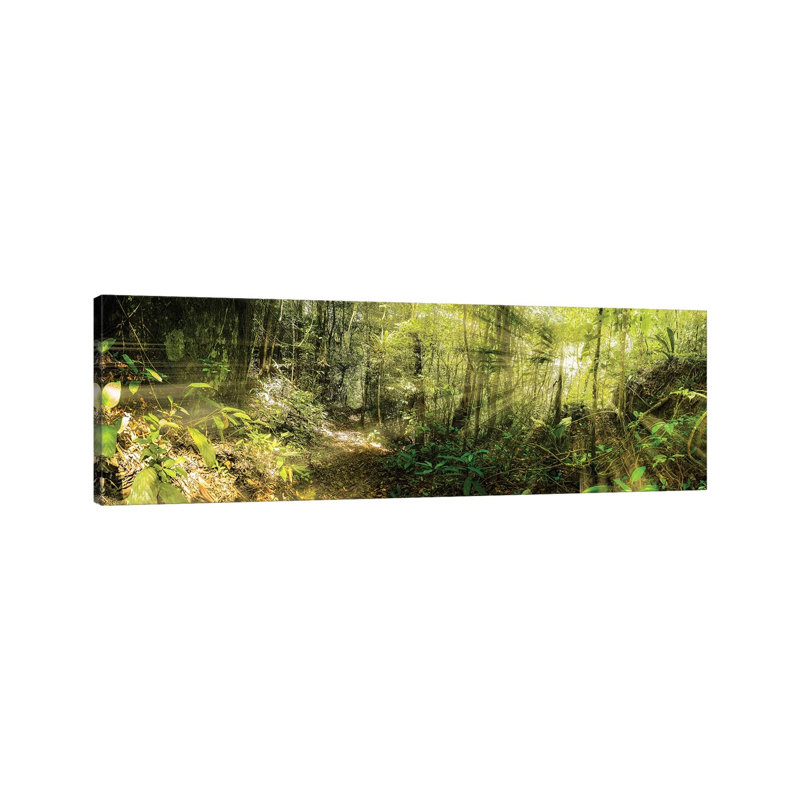 Tropical Forest XI by Glauco Meneghelli - Wrapped Canvas Panoramic Print, 40.64cm H x 121.92cm W x 1.9cm D
