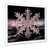 White Picture Framed