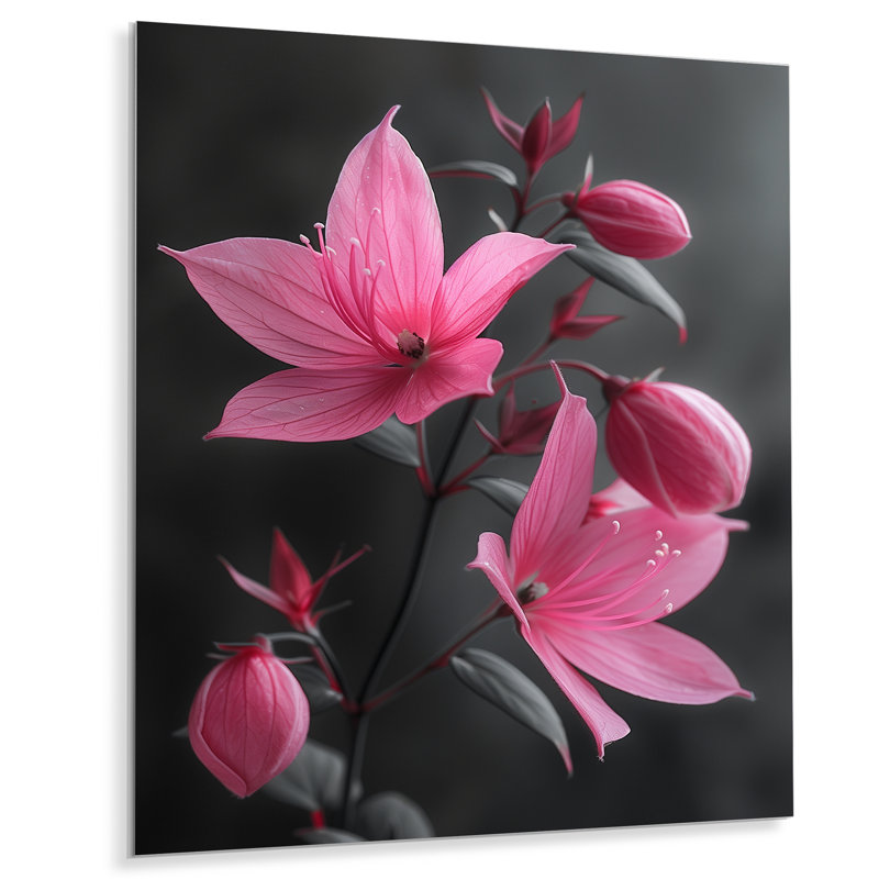 Fuchsia - Fuchsia, H 24 po x l 32 po, Sans cadre, métal