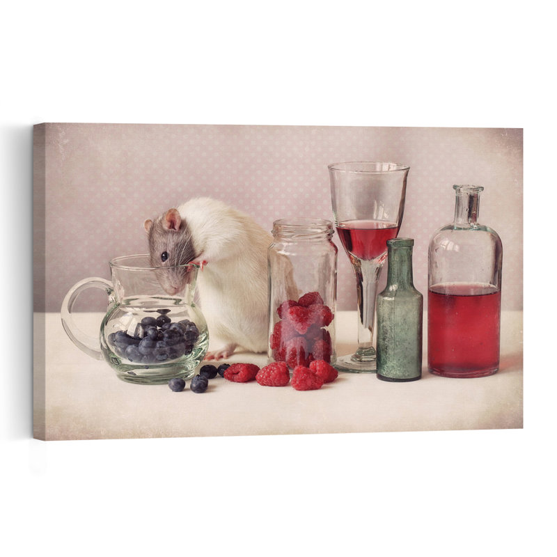 Curious Rat And Berries Playful Rustic Vintage Animal Fruit Wall Art Print - Print, 60.96cm H x 91.44cm W